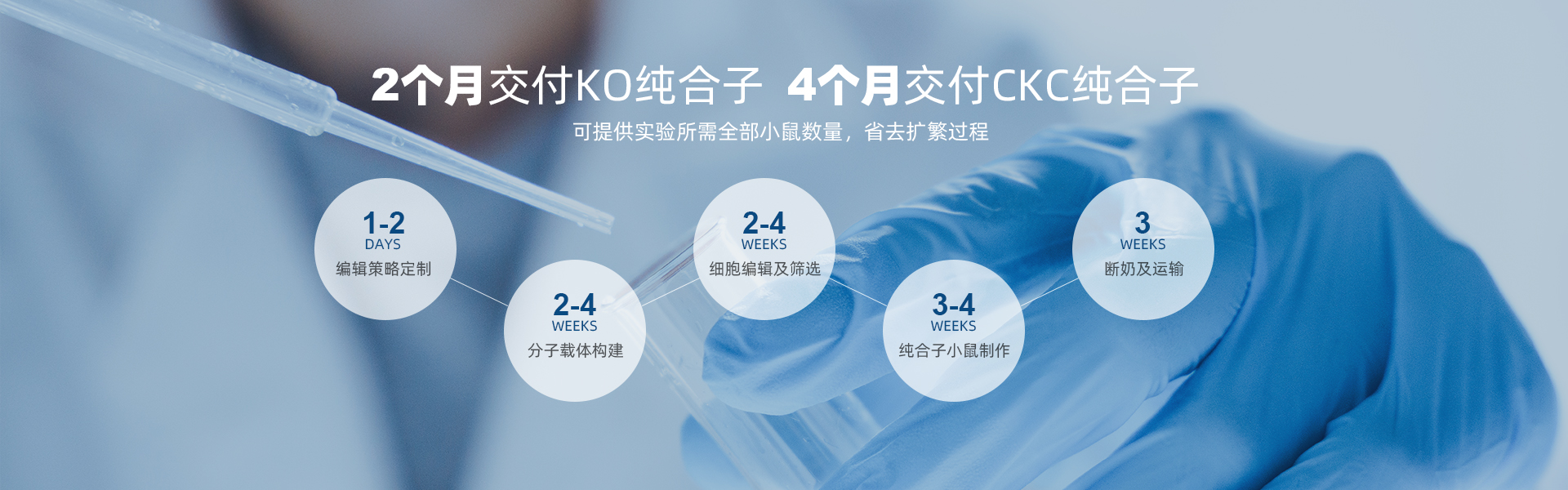 电脑幻灯片二